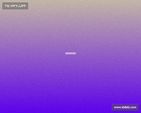 一龙武林风经典比赛